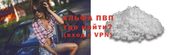 тгк Володарск