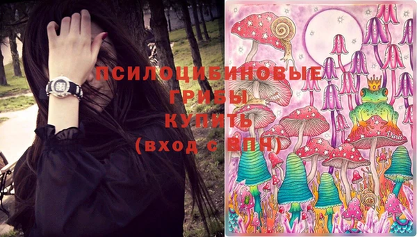 Альфа ПВП Верхний Тагил