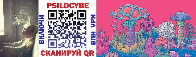 Галлюциногенные грибы Psilocybine cubensis  Купить где  Называевск 